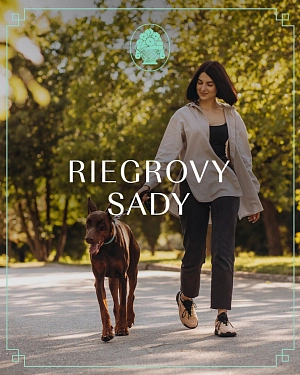 SOME Ploom photo gallery